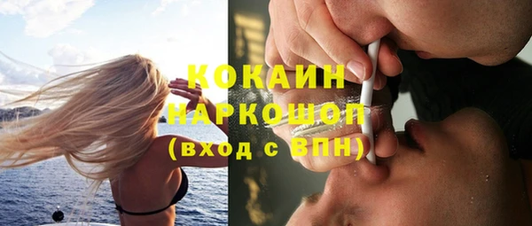 сатива Сосновка